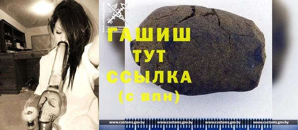 индика Алзамай
